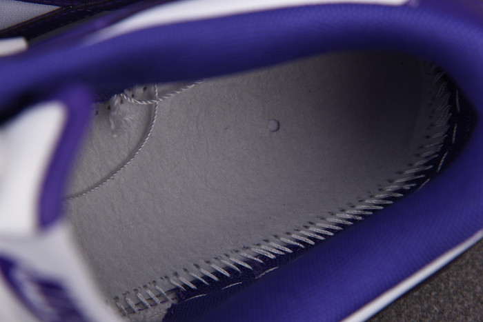 nike sb dunk low retro “court purple” dd1391-104