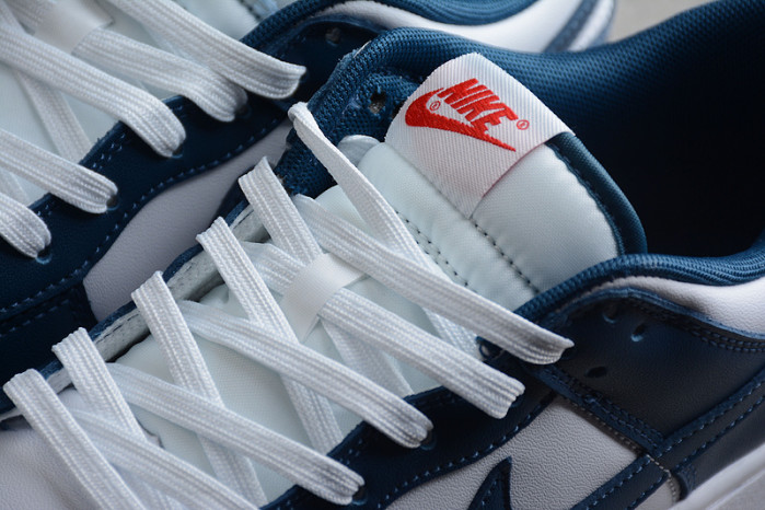 nike dunk low valerian blue dd1391-400