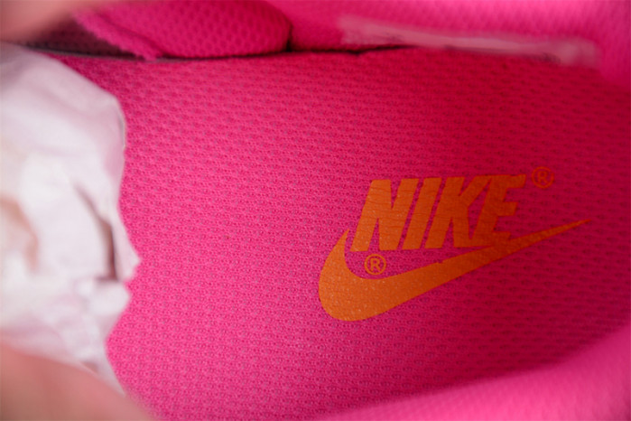 nike sb dunk low ndl0810