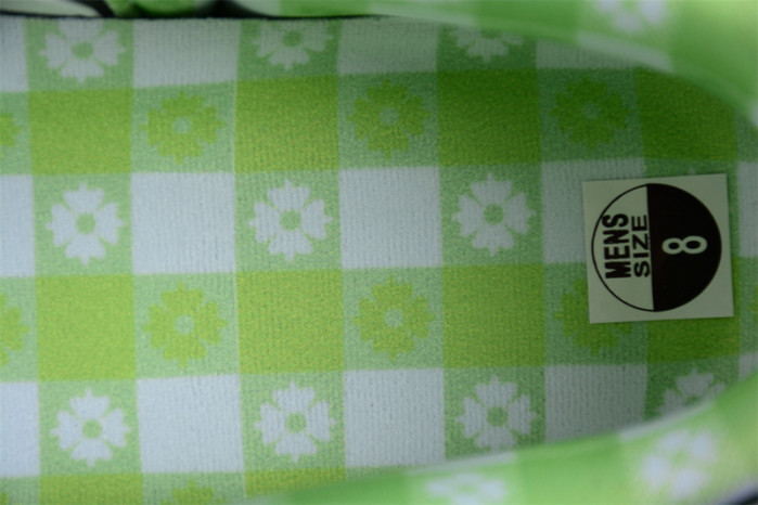 concepts x dunk low sb 