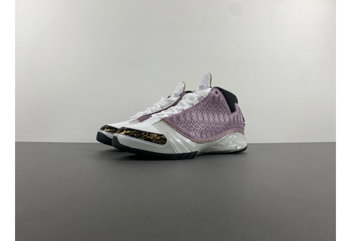 Air Jordan 23 White Stealth 318376-102